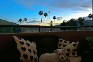 1720 E Thunderbird Rd, Phoenix, AZ 85022 - Photo 5