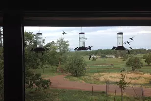 131 W Hunt Ranch Rd, Pine, AZ 85544 - Photo 33