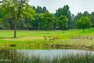 4927 E Mt Pleasant Dr, Flagstaff, AZ 86004 - Photo 65