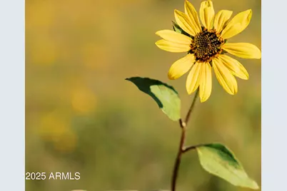 2344 S Buffalo Loop S, Overgaard, AZ 85933 - Photo 43