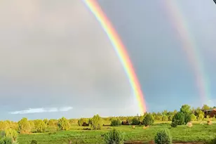 2344 S Buffalo Loop S, Overgaard, AZ 85933 - Photo 45
