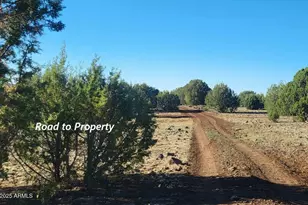 369 B E Antler Trail, Williams, AZ 86046 - Photo 3