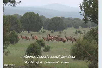 369 B E Antler Trail, Williams, AZ 86046 - Photo 21
