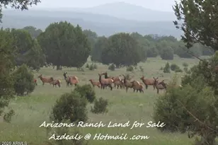 369 B E Antler Trail, Williams, AZ 86046 - Photo 21
