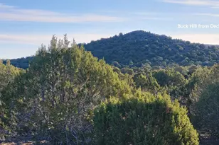 369 B E Antler Trail, Williams, AZ 86046 - Photo 13