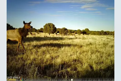 369 B E Antler Trail, Williams, AZ 86046 - Photo 13