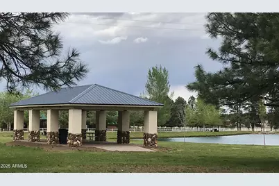 2345 Quarter Horse Trail #222, Overgaard, AZ 85933 - Photo 29