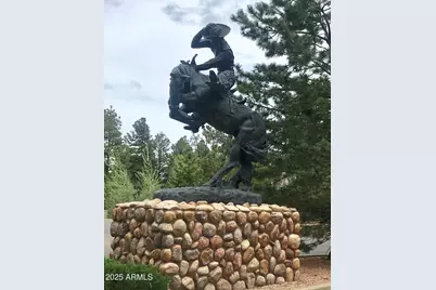 2345 Quarter Horse Trail #222, Overgaard, AZ 85933 - Photo 35