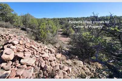 167 N Cattle Drive, Williams, AZ 86046 - Photo 15