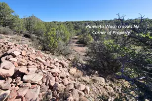 167 N Cattle Dr, Williams, AZ 86046 - Photo 15