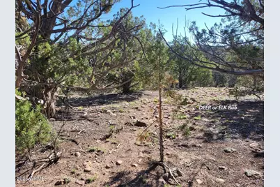 167 N Cattle Drive, Williams, AZ 86046 - Photo 7