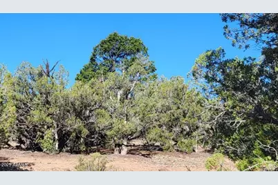 167 N Cattle Drive, Williams, AZ 86046 - Photo 5