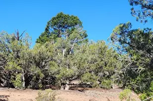 167 N Cattle Dr, Williams, AZ 86046 - Photo 5