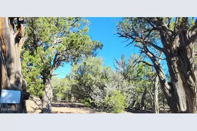 167 N Cattle Drive, Williams, AZ 86046 - Photo 3