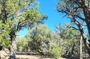 167 N Cattle Dr, Williams, AZ 86046 - Photo 3