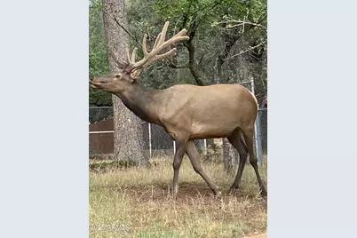 3868 N Bloody Basin Road, Pine, AZ 85544 - Photo 17