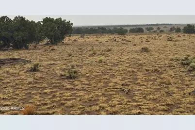 Lot 365 Arizona Park Estates Unit III -- #365, Saint Johns, AZ 85936 - Photo 1