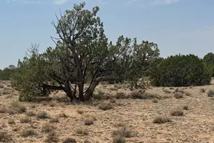 N7200 Parcel # 205-32-004A, Saint Johns, AZ 85936 - Photo 1