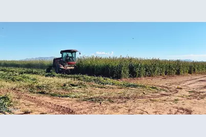 4300 W Prince Road, McNeal, AZ 85617 - Photo 37