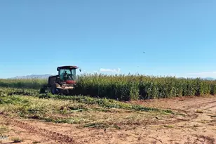 4300 W Prince Rd, McNeal, AZ 85617 - Photo 37