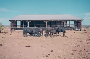 4300 W Prince Rd, McNeal, AZ 85617 - Photo 43