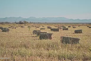 4300 W Prince Rd, McNeal, AZ 85617 - Photo 5