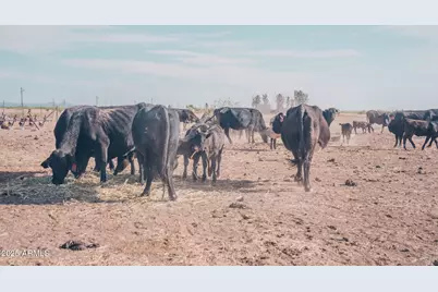 4300 W Prince Road, McNeal, AZ 85617 - Photo 45