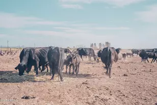 4300 W Prince Rd, McNeal, AZ 85617 - Photo 45