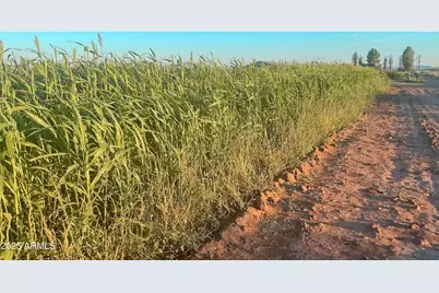 4300 W Prince Road, McNeal, AZ 85617 - Photo 35