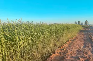 4300 W Prince Rd, McNeal, AZ 85617 - Photo 35