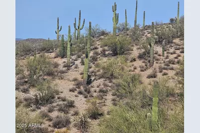 5Xxxx N 292nd Avenue, Wickenburg, AZ 85390 - Photo 1