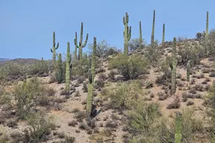 5Xxxx N 292nd Ave, Wickenburg, AZ 85390 - Photo 1