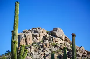 1018 N Boulder Dr, Carefree, AZ 85377 - Photo 41