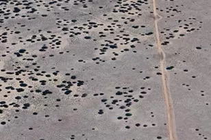 - N 7104 --, Saint Johns, AZ 85936 - Photo 1