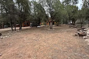 2181 Hashknife Dr, Overgaard, AZ 85933 - Photo 1