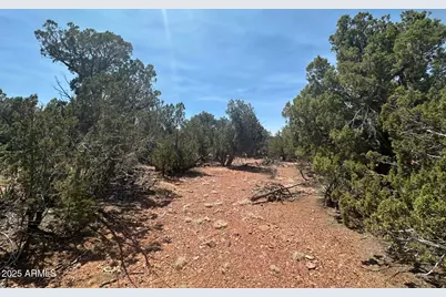 Lot #2 Power Line Road, Heber, AZ 85928 - Photo 1