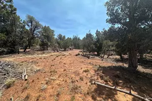 Lot #2 Power Line Rd, Heber, AZ 85928 - Photo 1