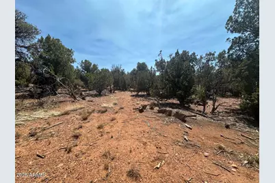 Lot #2 Power Line Road, Heber, AZ 85928 - Photo 5
