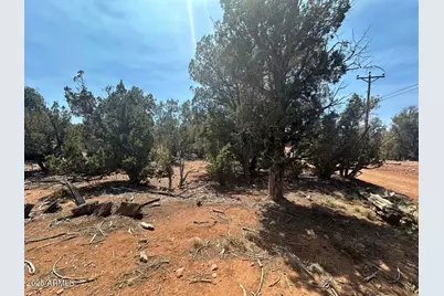 Lot #2 Power Line Road, Heber, AZ 85928 - Photo 3