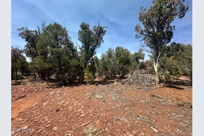 Lot #2 Power Line Road, Heber, AZ 85928 - Photo 3