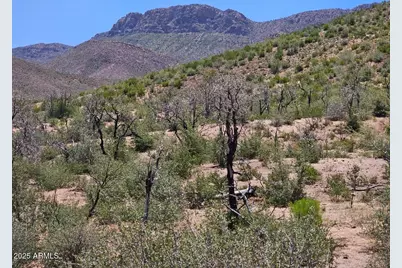 Tbd S El Capitan Drive #-, Globe, AZ 85501 - Photo 3