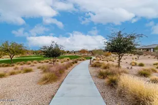 1541 W Camina Buena Vis, San Tan Valley, AZ 85140 - Photo 59