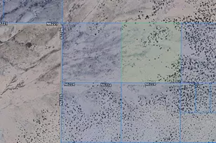 Tbd 40 Acres (Lot 98) Carrizo --, Saint Johns, AZ 85936 - Photo 1