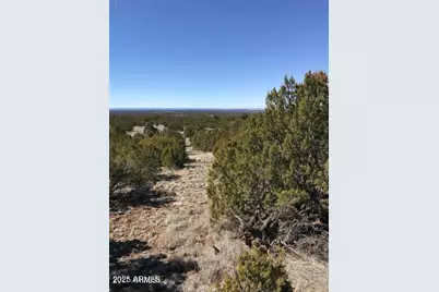 Lot 20 Idlewild Ranch #20, Concho, AZ 85924 - Photo 5