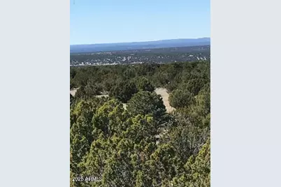 Lot 20 Idlewild Ranch #20, Concho, AZ 85924 - Photo 1