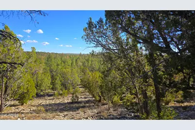 2947 E Lookout, Overgaard, AZ 85933 - Photo 1