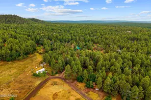 2444 S Jan Ln, Pinetop, AZ 85935 - Photo 47