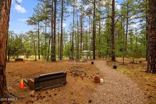 2444 S Jan Ln, Pinetop, AZ 85935 - Photo 43