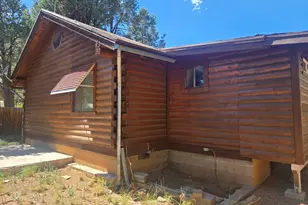 2145 Fishermans Rd, Overgaard, AZ 85933 - Photo 3