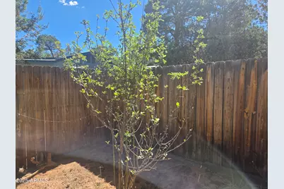 2145 Fishermans Road, Overgaard, AZ 85933 - Photo 25